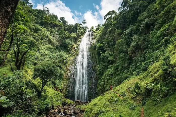 Kilimanjaro Day Trips